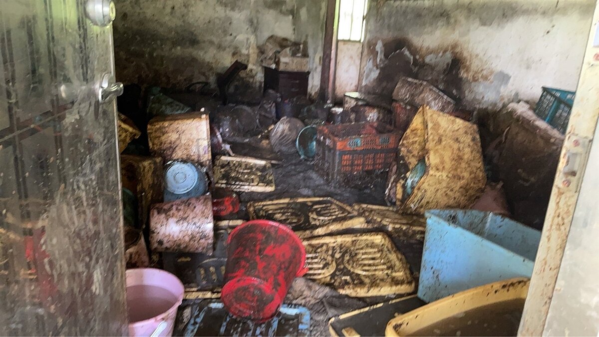 新北市新店一位飼主不當飼養6隻犬隻,不但全身都是排泄物,且飼養環境髒亂惡臭,沒有提供乾淨水源及飼料。圖/新北市動保處提供