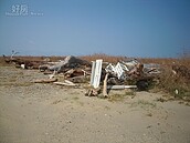 大甲松柏漁港興起觀光活動　漂流木惹人怨籲清除