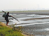 大城濕地　環保人士爭列國家級