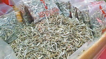 占有國內99%以上丁香魚市場的澎湖縣將今年丁香魚採捕禁漁期提早並延長,禁漁期為4月20日起至6月1日止,同時劃設自主管理禁漁區。(許逸民攝)