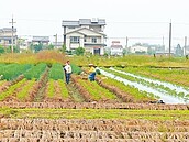 誆建農舍　詐走千萬土地