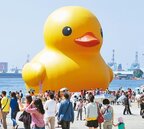 黃色小鴨　參觀人次突破300萬