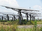 屏東「種電」申請　破600件