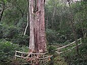 相招尖石鄉爬山　健身又環保