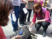 板橋文化路遇水即淹？　遭疑偷工減料