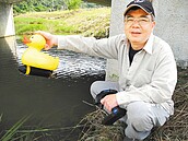 遙控模型迷　盼「山水綠生態公園」成三棲場域