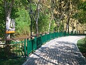 桃米坑溪蝴蝶步道　桃米綠活慢行遊程新起點