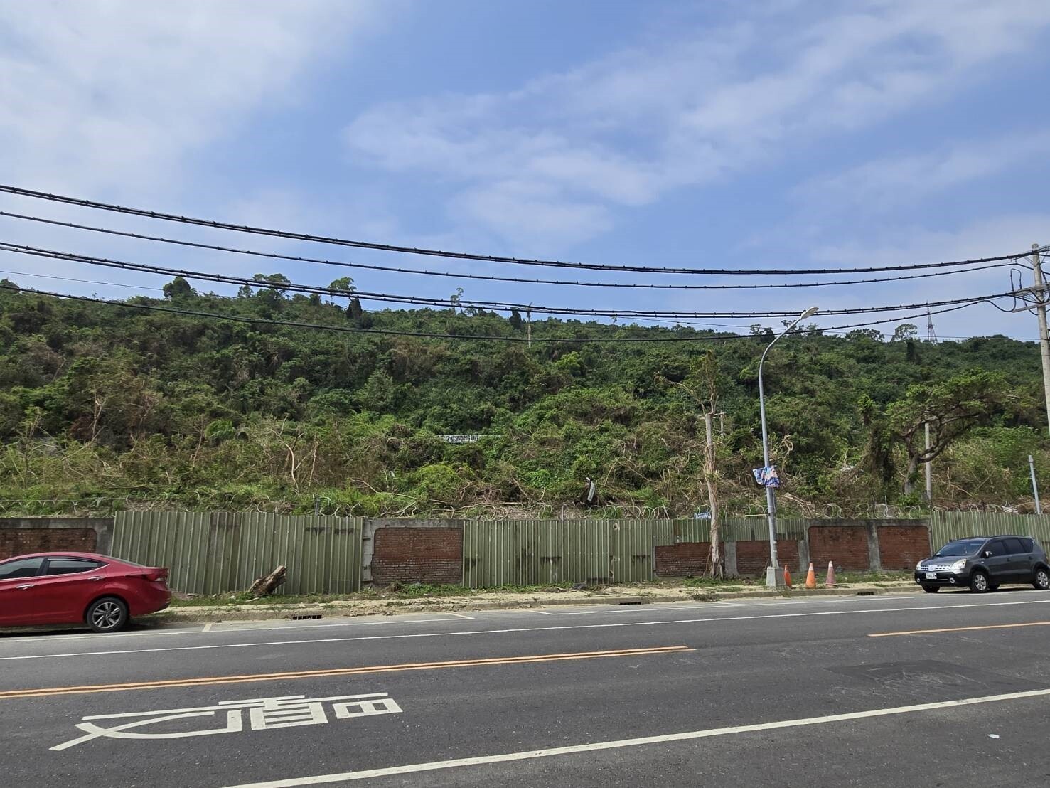 高雄鼓山三路電纜未下地，常因動植物碰觸、設備事故或颱風導致跳、停電。記者王勇超／攝影 