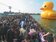 搶看黃色小鴨　首日12萬人擠後湖塘