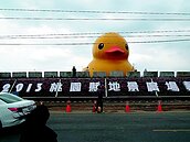 民眾傻眼…黃色小鴨「頭上三條線」