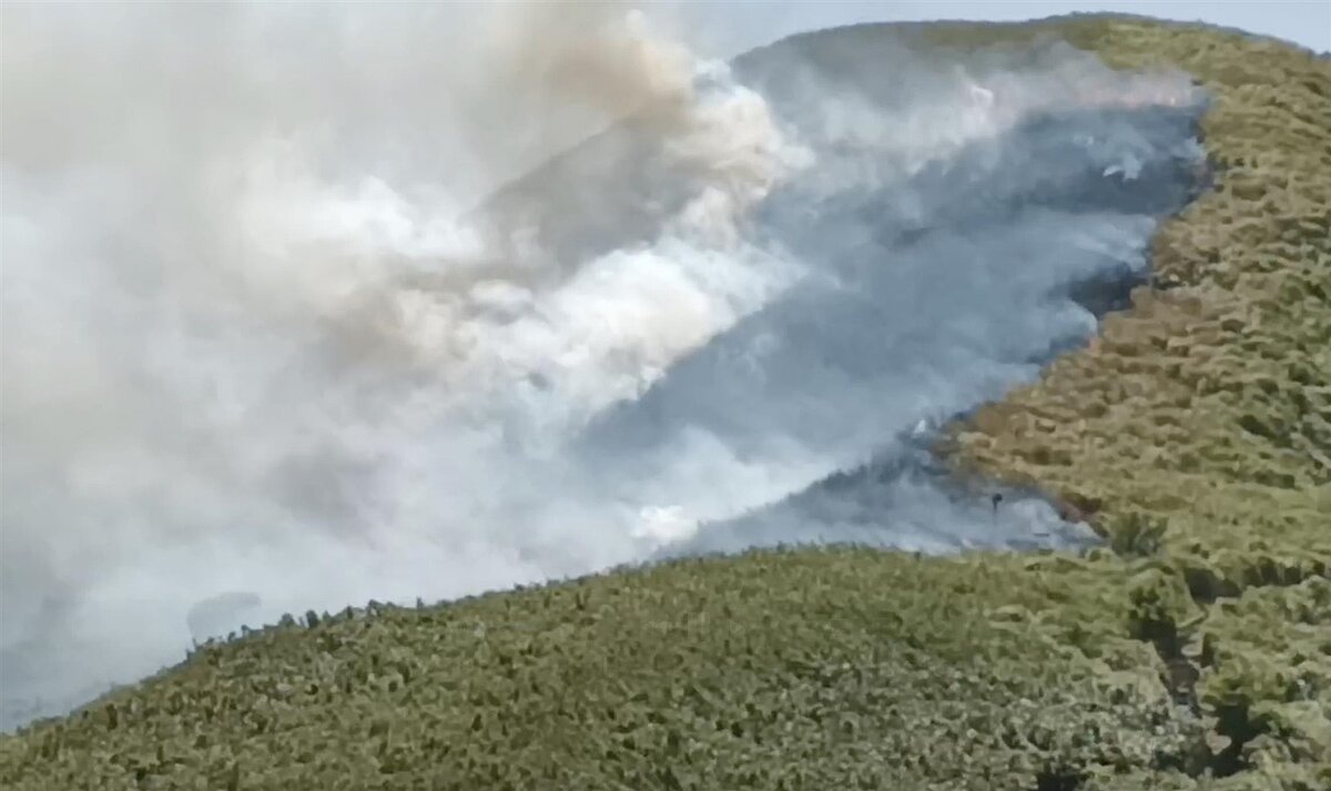 台北市陽明山七星山步道區稍早因不明原因傳出火災,目前消防人員已到場處置。圖/議員張斯綱提供