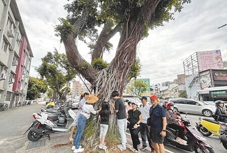 
台中崇德路人行道改善工程將汰換大量行道樹，公民團體19日在崇德路、五權路口舉辦「謝樹儀式」。（馮惠宜攝）
