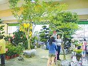 建國花市31歲　來就送好禮