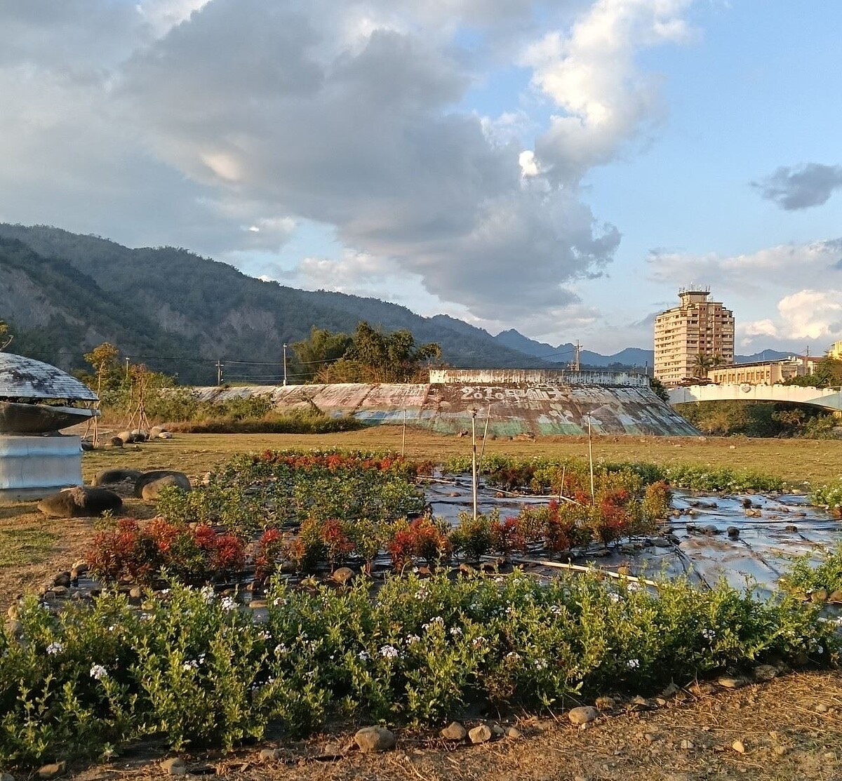 45處城市空間煥新,綠意重塑都市活力。圖/高雄市公園處提供