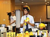 帶動地方　台南也想要黃色小鴨