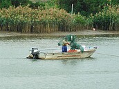 整治不如預期　淡水河兩側景觀「差很大」