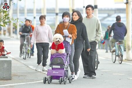 
穀雨是「春生」將盡，「夏長」將至之交接期。此時陽氣初升，應順勢而養，民眾可以早睡早起、曬太陽、活動筋骨，以助陽氣生發。圖為民眾趁著假日好天氣，帶著愛犬在北市河濱公園散步。（黃世麒攝）
