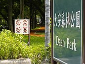 深秋　大安森林公園候鳥現蹤