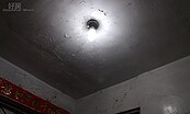 天氣潮濕白蟻大軍入侵！3種裝潢藏陷阱…4招避開蛀蝕危機