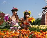 后里花農聯合辦促銷　力拼新社花季爭遊客