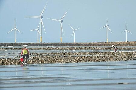 離岸風電示意圖。圖∕本報資料照片