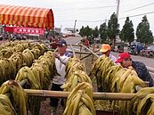 仁安好福氣福菜遍滿地　打造福聚新勝地