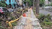 高雄「小天母」步道破損、地掀起如波浪　修復延宕半年只拉封鎖線