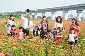 新市花海節來了　看火車開過花海