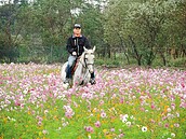 逛花海　村長騎馬來