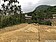 白河關子嶺山坡地違規施工　市府勒令停工開罰