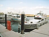 碧砂娛樂船　無法載客看黃色小鴨