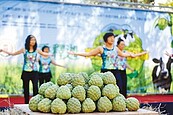 擊敗芒果　台東釋迦外銷最夯