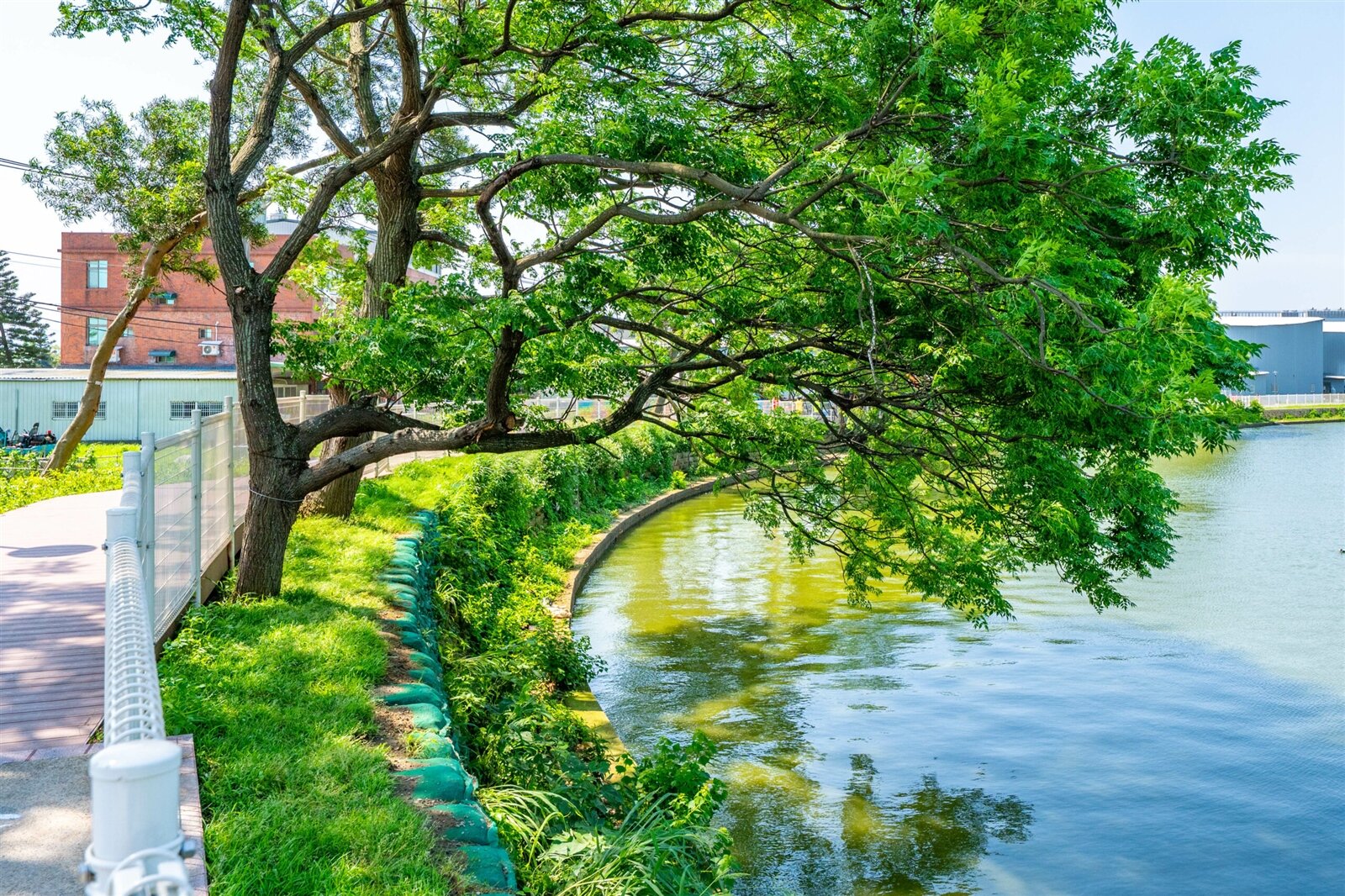 此次工程特別注重生態保護及綠美化。圖：市府提供