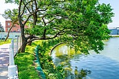 休閒好去處再＋1　中壢這處埤塘變身綠地新景點