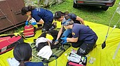 1隻台灣黑熊受困台東低海拔林地　因敗血症死亡