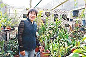 挖池塘、蓋溫室　種出花草生活