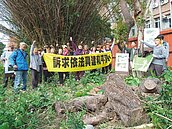 蓋世大運籃球館　亂砍數百棵老樹