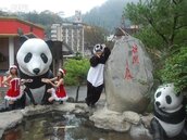 谷關鼓舞節將登場　溫泉池畔熊貓家族現蹤搶人氣