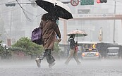 晴雨交替！明降雨趨緩高溫33度　周末變天雷雨炸全台