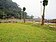 綠美化橋板湖公園　荒地變綠草原