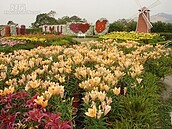 中社觀光花市萬花爭艷　美景贏得遊客心