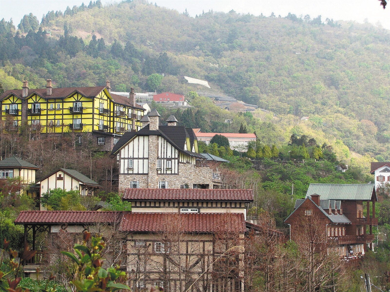 清境農場的民宿業者。 記者紀文禮/攝影