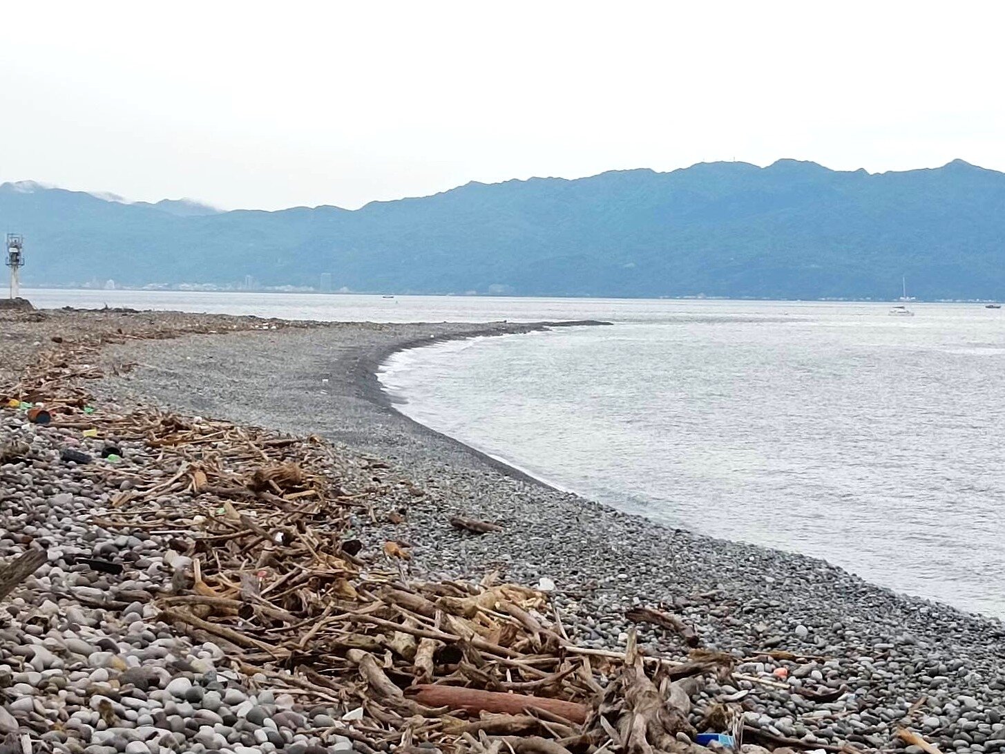 龜山島的尾巴去年底歷經颱風摧殘「斷尾」,最近慢慢長回來。記者戴永華/攝影