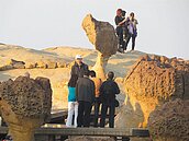 女王頭斷或留　將交給民調決定