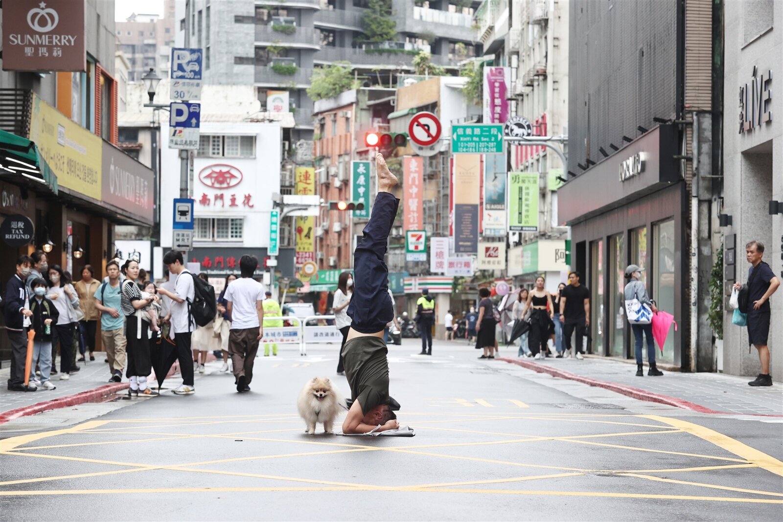 台北市永康商圈昨試辦「永康街人本城市假日漫步區」，有民眾帶著狗狗在徒步區倒立留念。記者邱德祥／攝影 