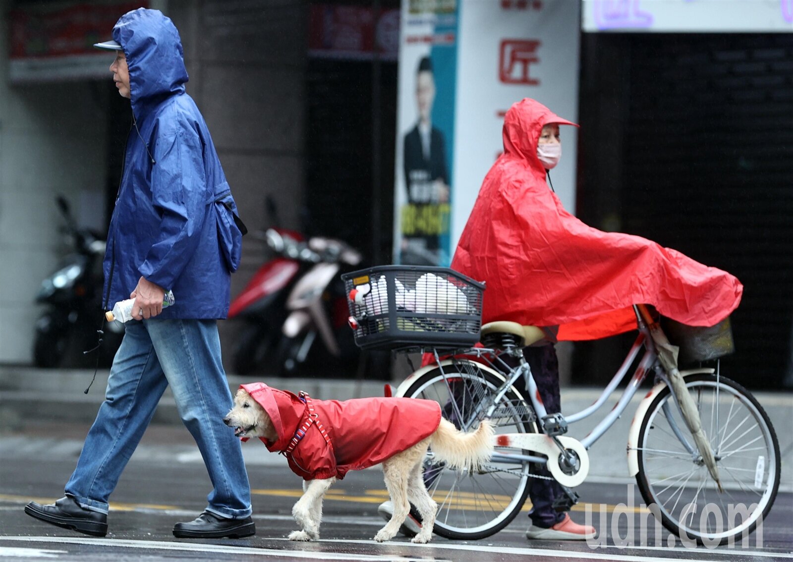 梅雨季到來，全台各地雨下不停。聯合報系資料照片／記者侯永全攝影 