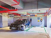 高雄電動車數攀升　議員籲車格收費