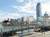 鴨迷有疑問！　小鴨專線18日公布