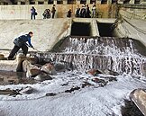 後勁溪全面整治　「花30年也要做」