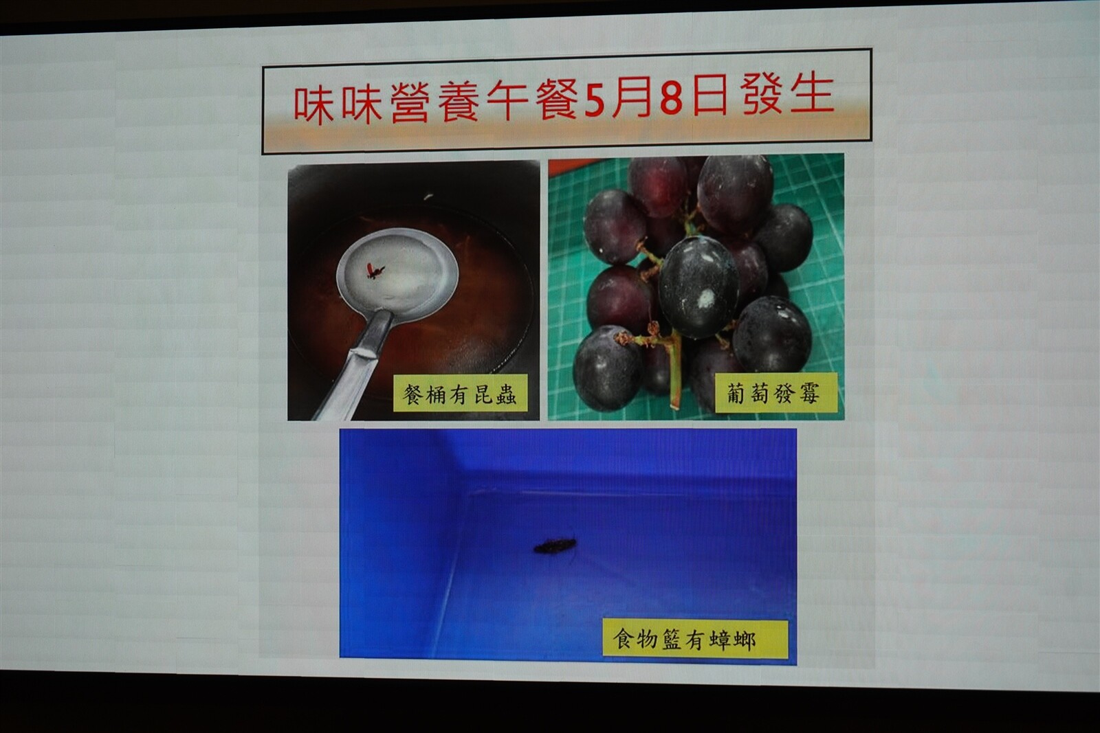 新北議員張錦豪指出,上周有7校因團膳業者長期食安問題,遭暫停供餐,但問題廠商味味美食公司也承包新北自立廚房,供應汐止3校午餐,陸續發現菜桶有蟲、水果發霉。記者劉懿萱/攝影